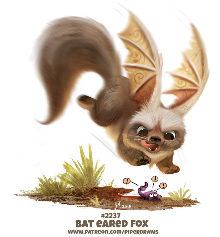 Daily Paint 2237. Bat Eared Fox by Cryptid-Creations on DeviantArt