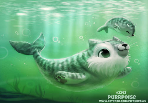 Daily Paint 2243. Purrpoise
