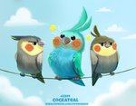 Daily Paint 2344. Cockateal