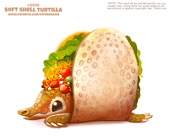 Deviantart Softshell Turtle Daily Paint 2406. Soft Shell Turtilla by Cryptid-Creations on DeviantArt