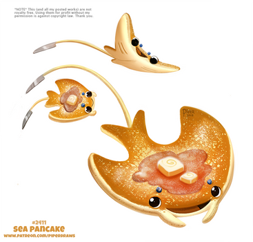 Daily Paint 2411. Sea Pancake