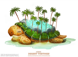 Daily Paint 2502. Desert Tortoise