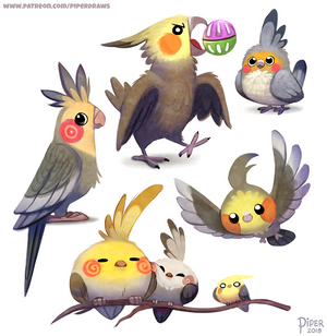 #2555. Cockatiel - Designs