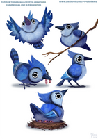 #2571. Blue Jay - Designs