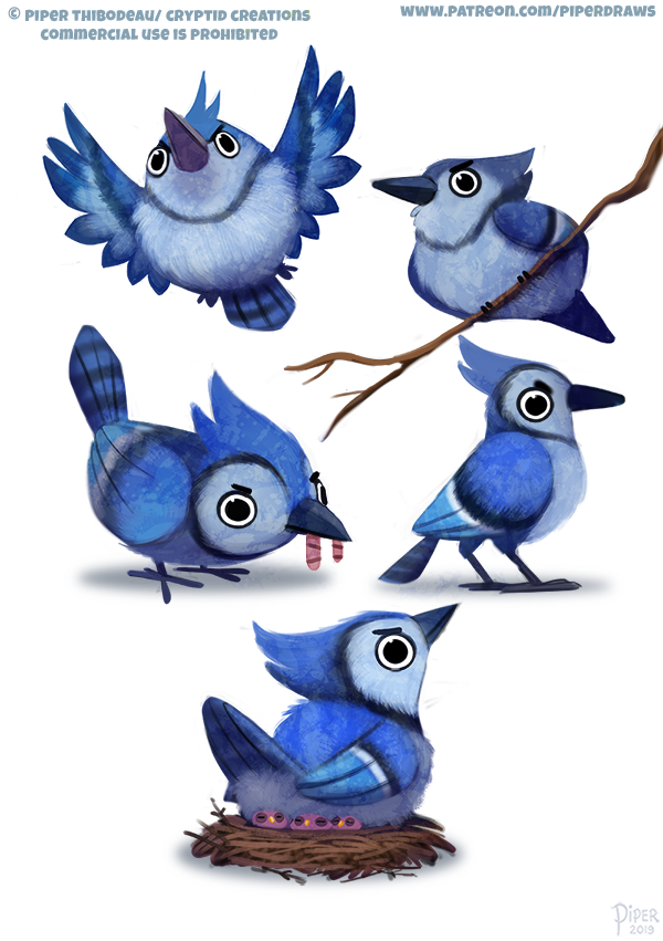 2571 Blue Jay Designs By Cryptid Creations On Deviantart