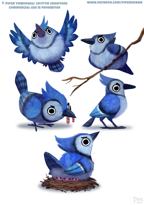 2571 Blue Jay Designs By Cryptid Creations On Deviantart 2571 Blue Jay Designs By Cryptid Creations On Deviantart