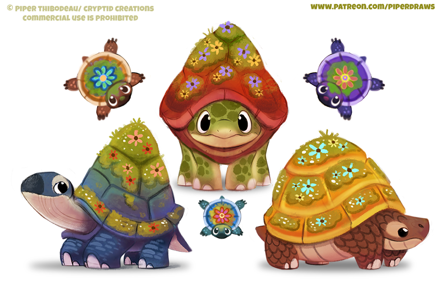 Small Tortoise Design #2583. Tortoises - Designs by Cryptid-Creations on DeviantArt