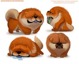 #2591. Chowchow - Designs