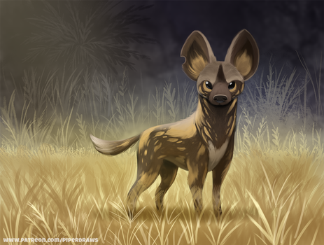 #2659. African Wild Dog - Illustration