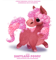 #2700. Shetland Peony - Word Play