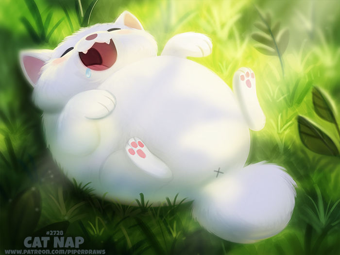#2728. Cat Nap - Word Play by Cryptid-Creations on DeviantArt