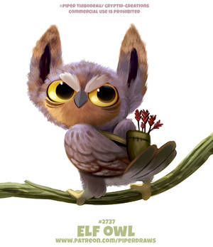 #2737. Elf Owl - Word Play