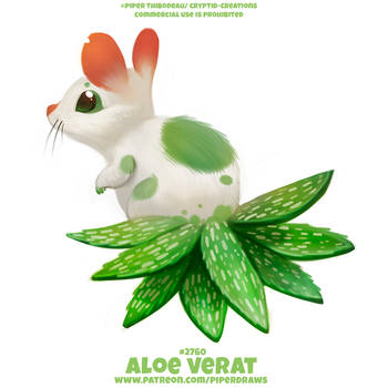 #2760. Aloe Verat - Word Play