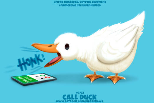 #2773. Call Duck - Word Play