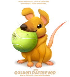 #2775. Golden Ratriever - Word Play