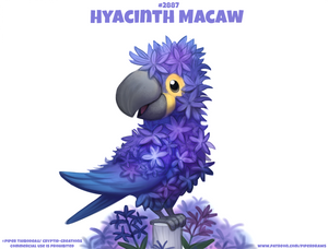 #2887. Hyacinth Macaw - Word Play