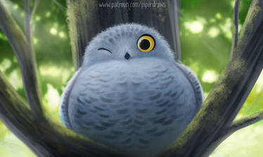 3040. A Not So Snowy Owl - Illustration