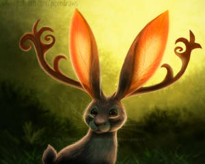 3046. Jackalope - Illustration