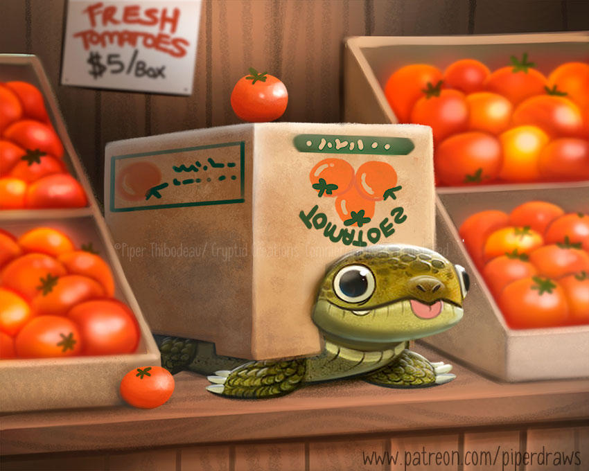 3062. Box Turtle - Illustration by Cryptid-Creations on DeviantArt