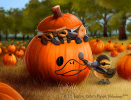 3271. Quack-o'-lantern