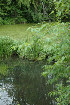 Upper and Lower Dam