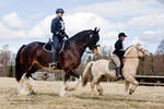 Endurance Riding XII by Colourize