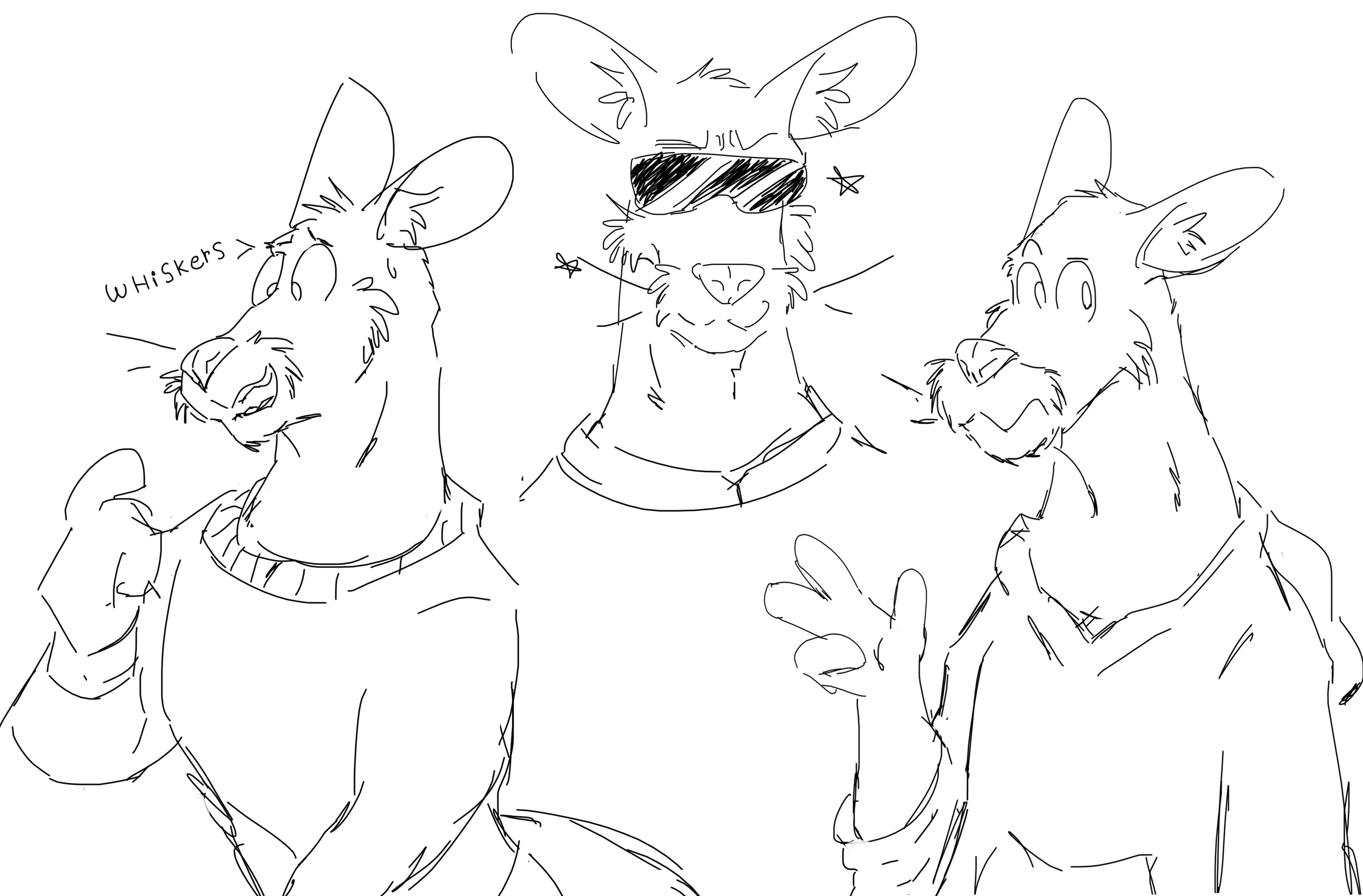 Kangaroo sketches by JashtackArts on DeviantArt