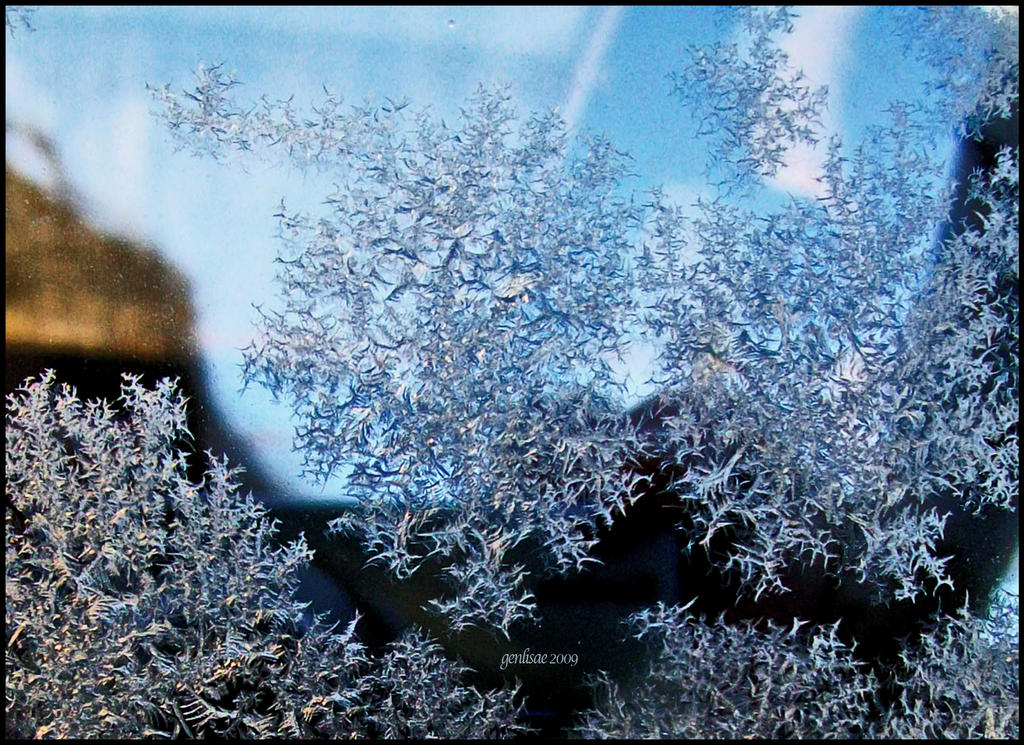 Frosty Window