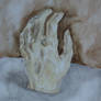 the plaster hand 2