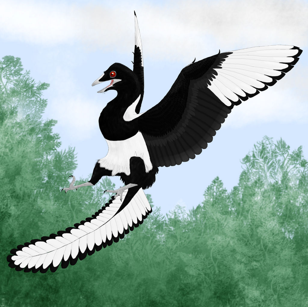 Magpie Turtle Jurassic magpie by Mikartturi on DeviantArt