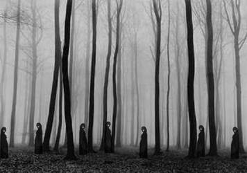 Witches in the wood