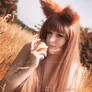 horo  spice and wolf