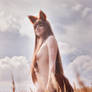 horo  spice and wolf
