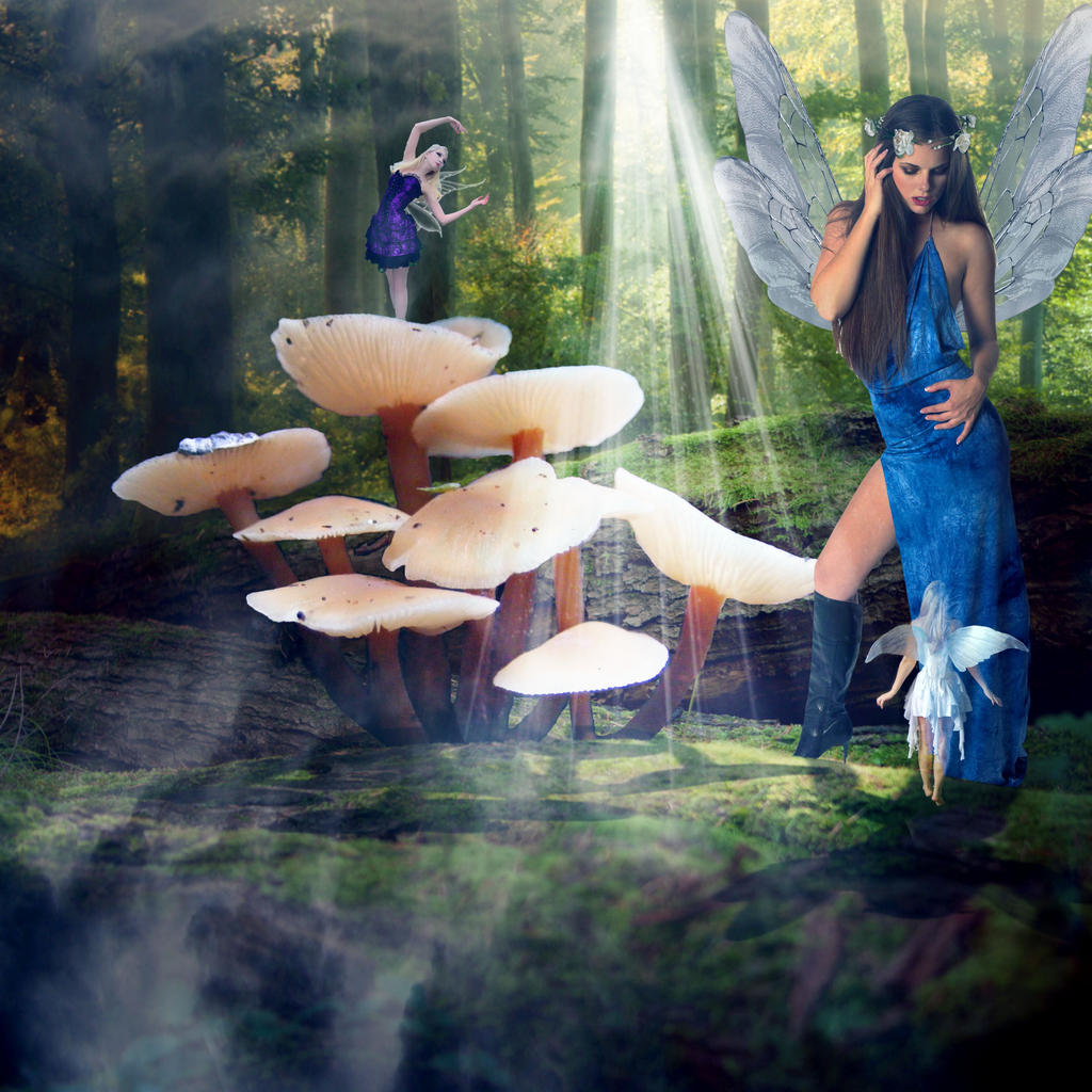 Fairy Queen by WeReallyDig