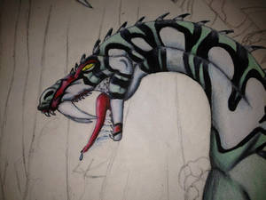 detail view of my tiger dragon