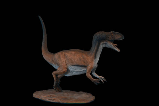 allosaurus right side