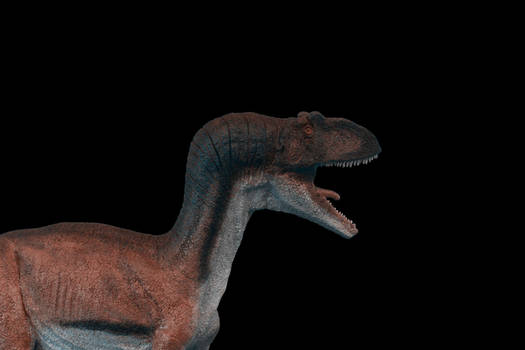 allosaurus detail 2