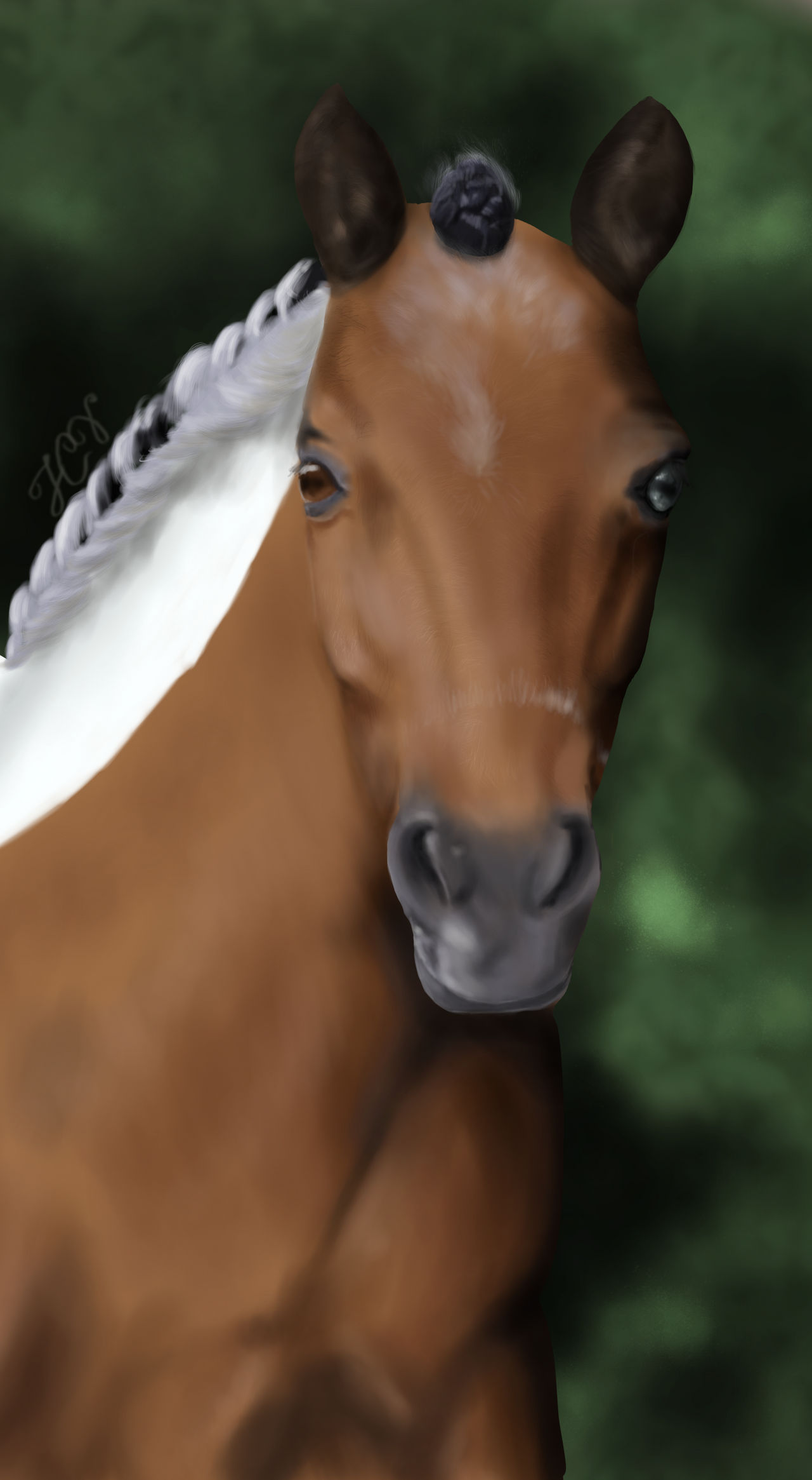Deviantart Photo Realism Photorealism Max by JCV-Photography on DeviantArt