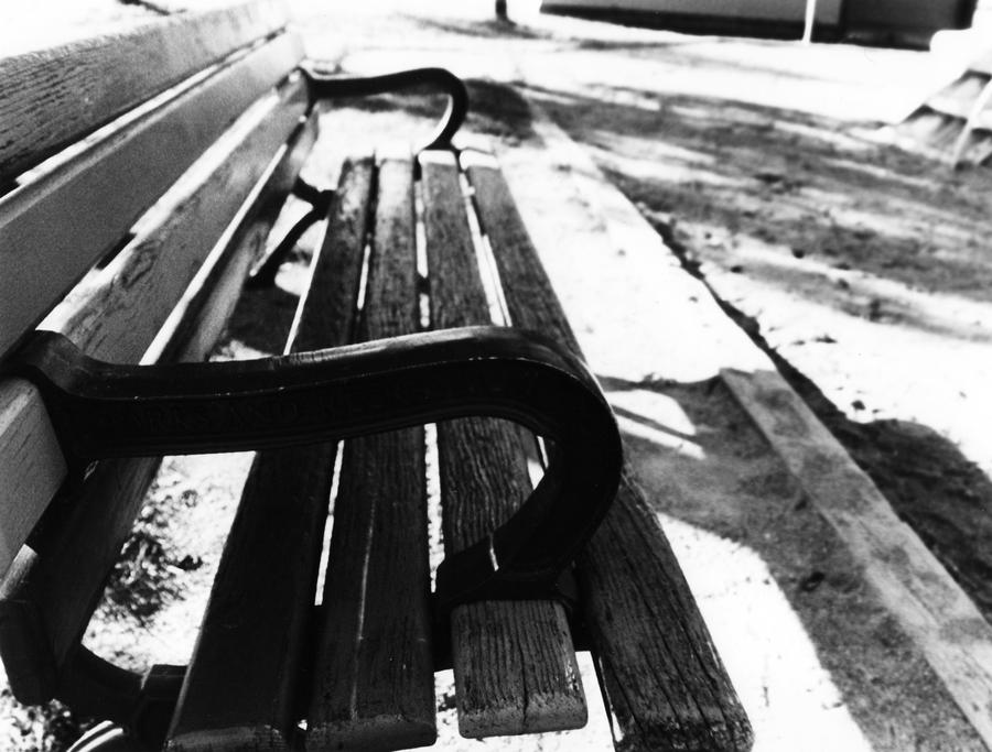 bench