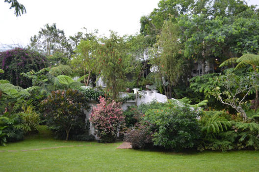 The Secret Garden in Antonio's, Tagaytay City 2