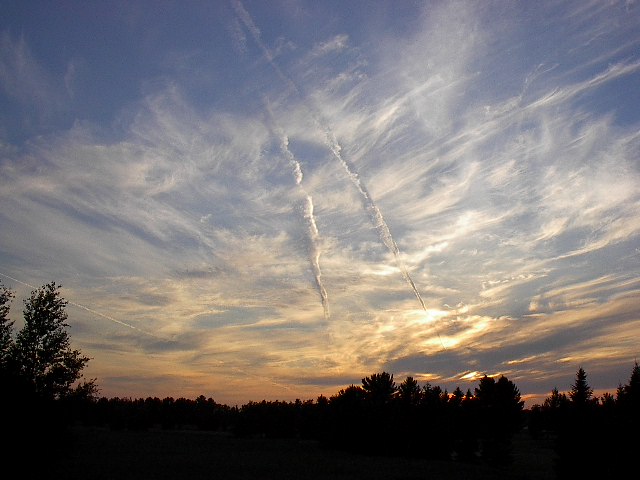 View From A Back Yard