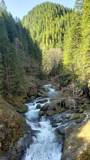 Oregon Wilderness by andromeda