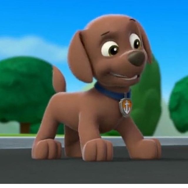 Zuma by PawPatrolChase on DeviantArt