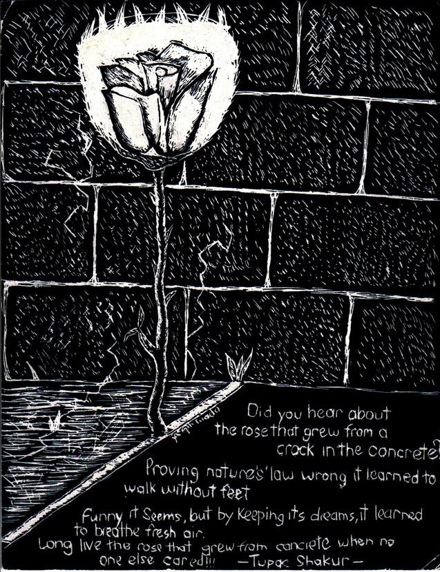 The Rose From Concrete. by GoodCleanJoey on DeviantArt