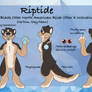 Riptide Fursuit Reference 2017