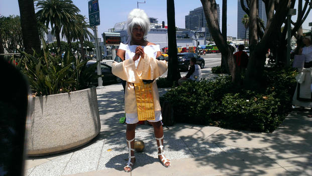 Anime Expo 2013 - Magi gathering 26