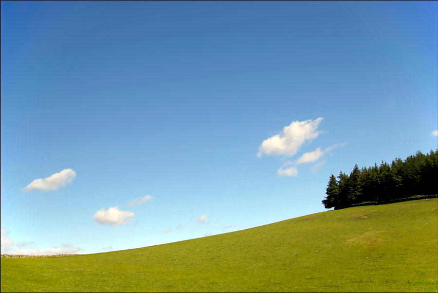 Peebles Pasture