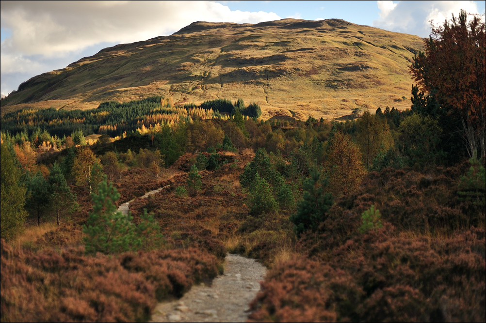 The West Highland Way Towards Tyndrum