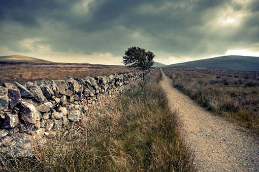 Wall With Road re