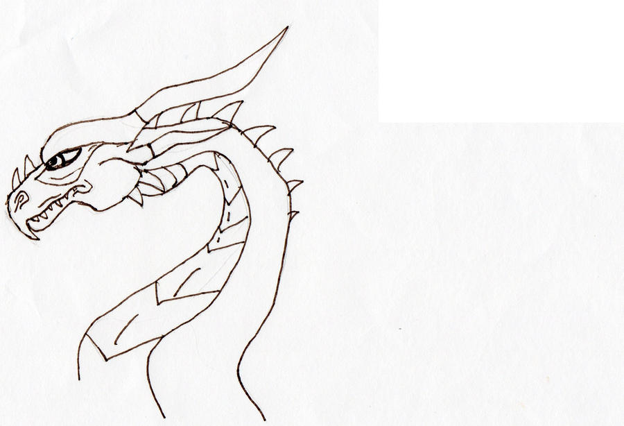 Dragon Head - Side View by Dani-Merchant on DeviantArt